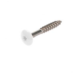 Inox A4 HPL schroeven Wit RAL9010 d12x4,8x38mm 100st