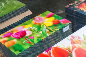 PVC Vikupor plaatjes